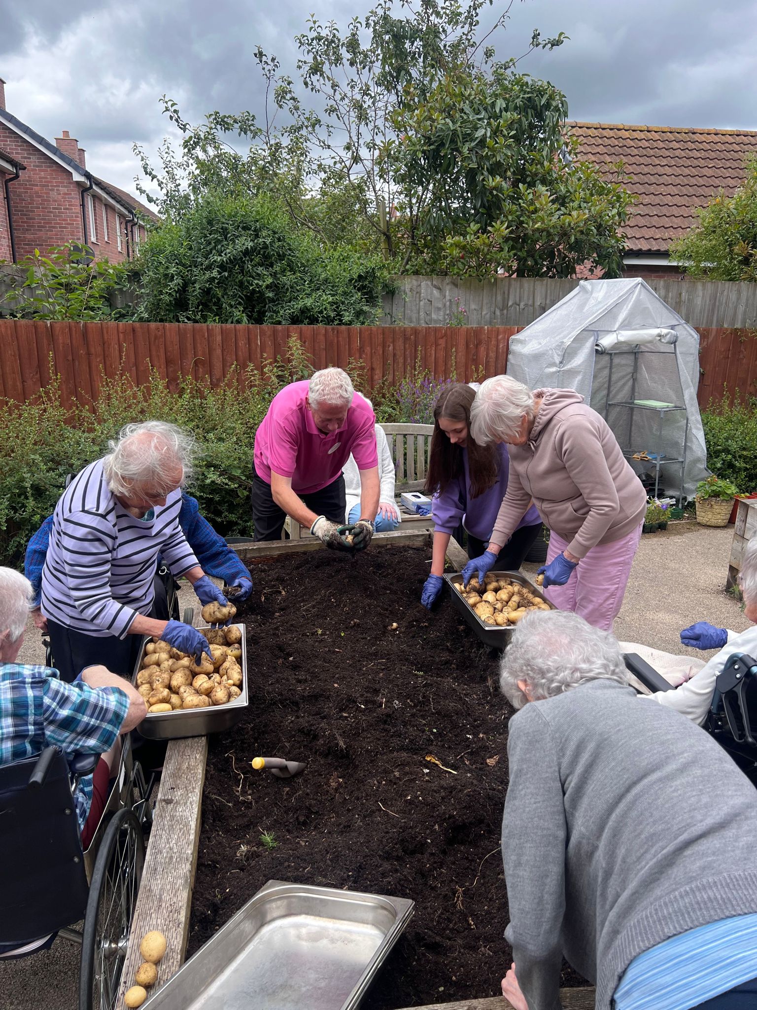 Residents planting potatoes