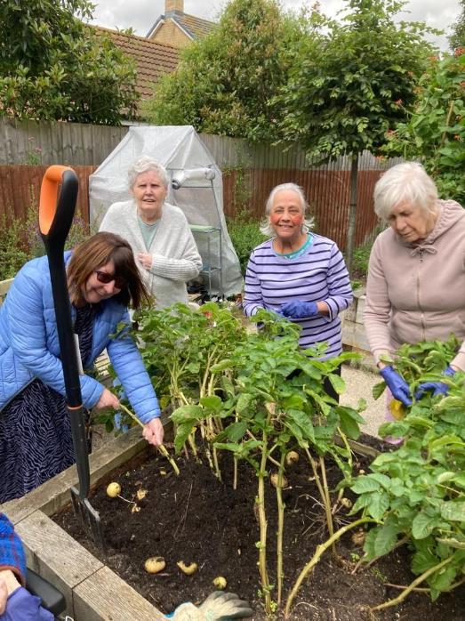 residents gardening and tending plants