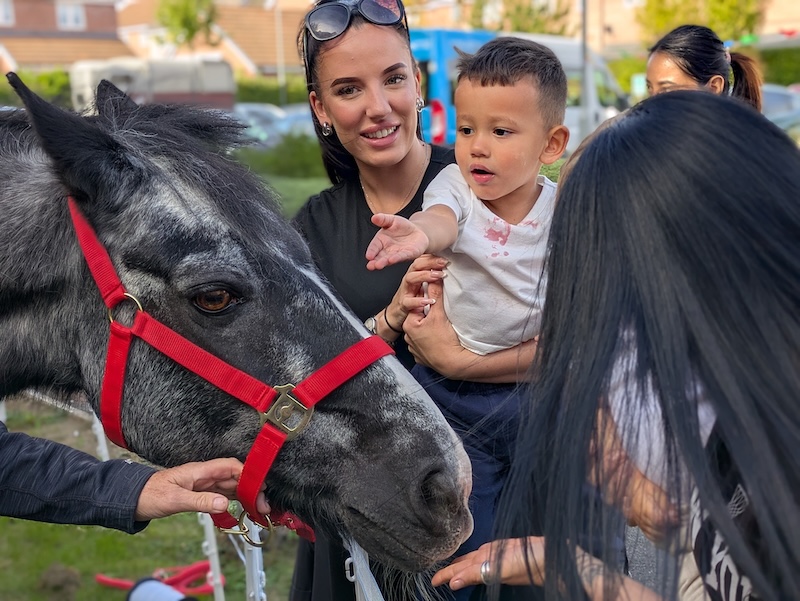 young boy stroking a horse