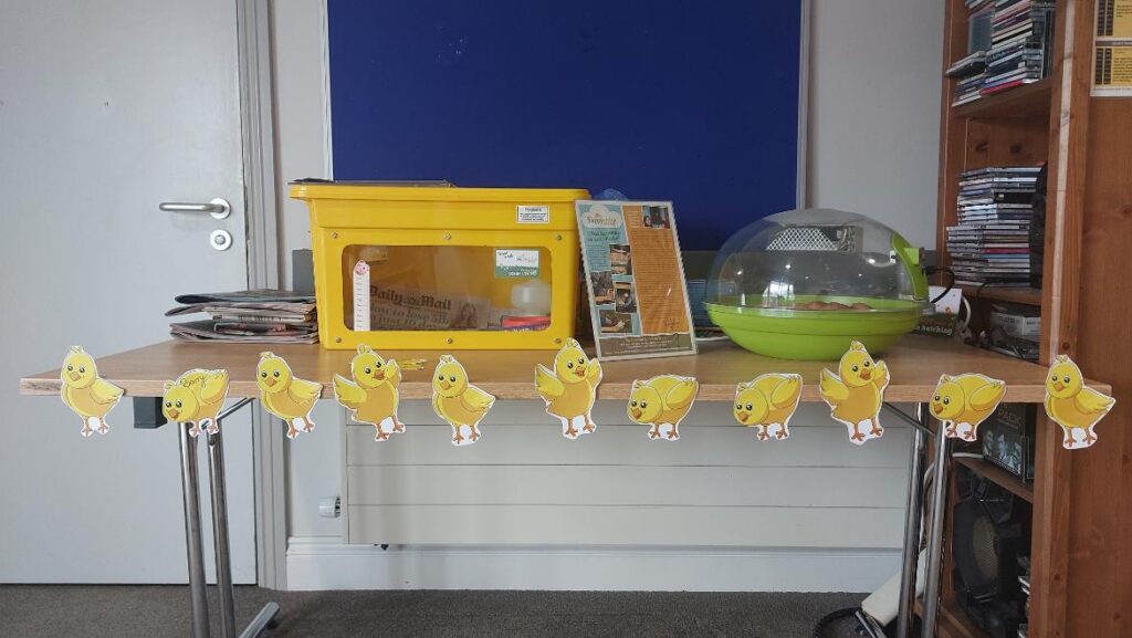 station for the eggs