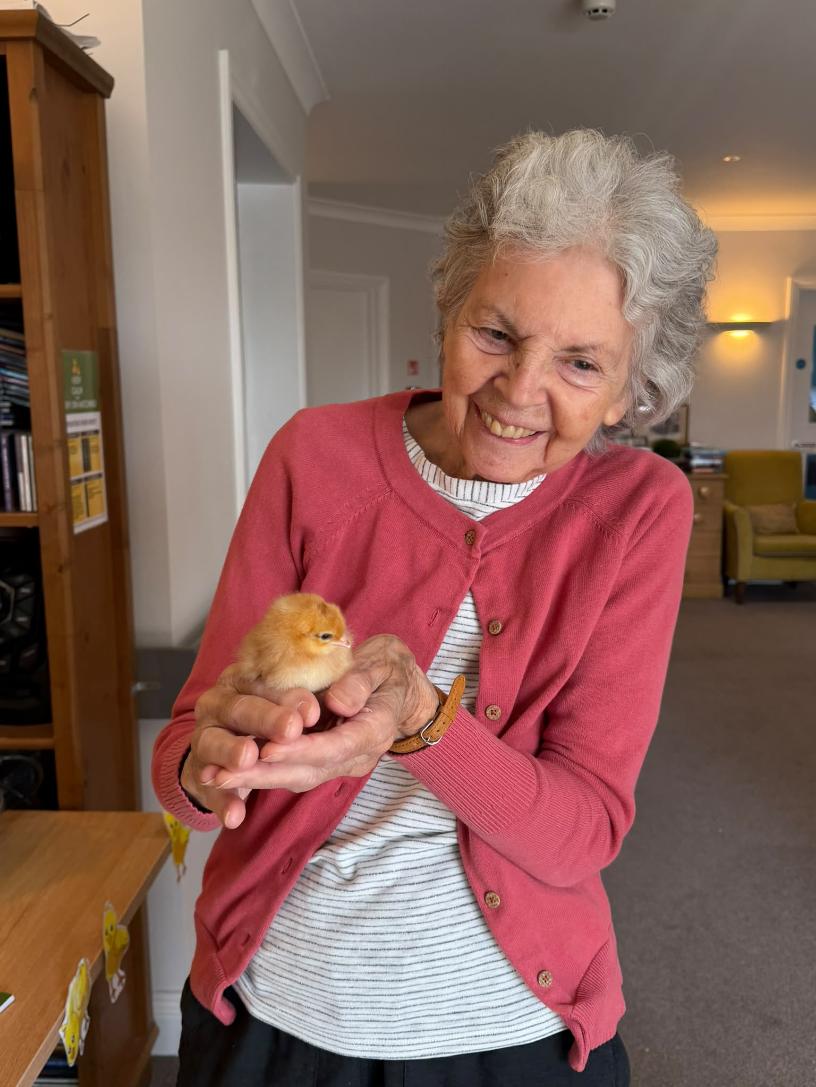 older lady holding a chick